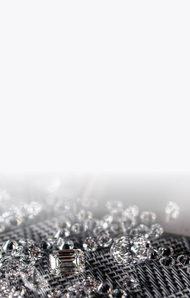 bg-investors-join-mob